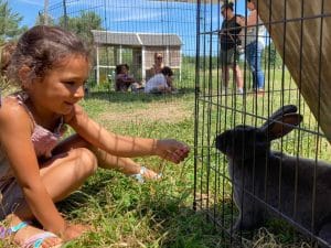 Little girl feeding a bunny at New Village Farm