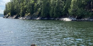 Basin Harbor: the Vermont Family Vacation or Team Retreat of Your Dreams