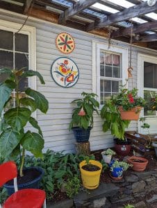 garden