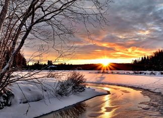 My Vermonter Husband’s Tips to Survive and Thrive in a Cold Winter