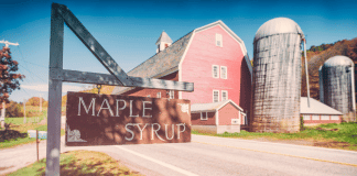 Tips for New Vermonters from a New Vermonter