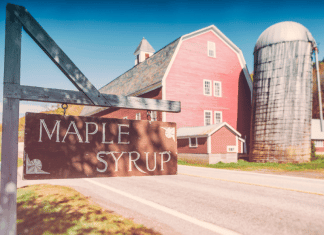 Tips for New Vermonters from a New Vermonter