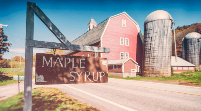 Tips for New Vermonters from a New Vermonter