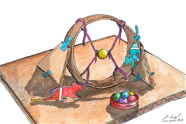 Tinkering Project