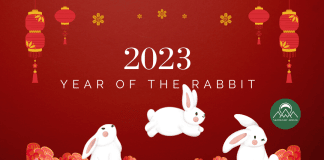 The 2023 Year of the Rabbit Forecast According to the Chinese Zodiac 2023 year of the rabbit