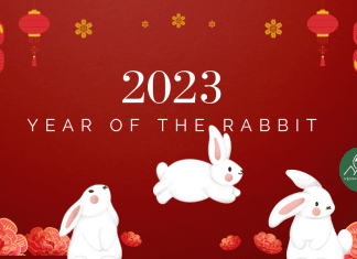 The 2023 Year of the Rabbit Forecast According to the Chinese Zodiac 2023 year of the rabbit