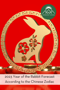 rabbit image