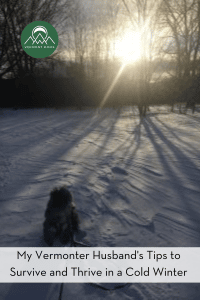 setting sun on snowy yard
