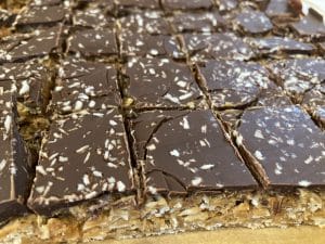 Peanut Butter Oat Bars with Chocolate Topping covered in Coconut Flakes