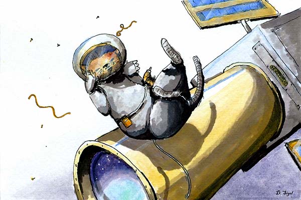 cat in space- multimedia art