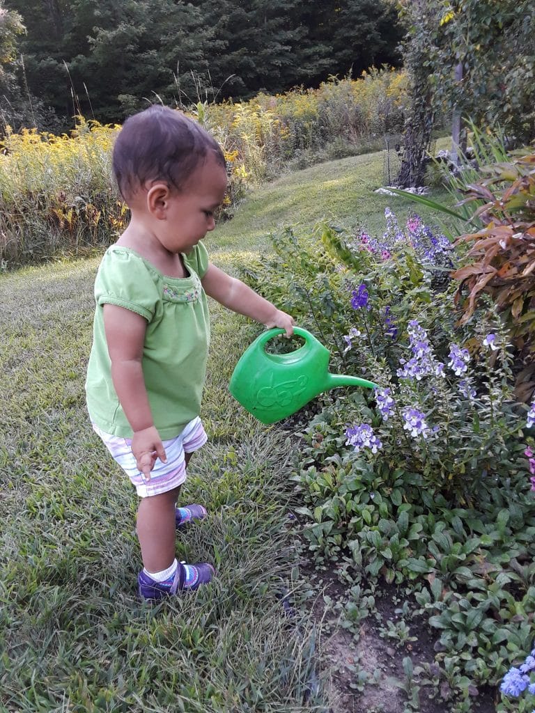 toddler watering the garden