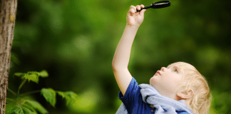 Backyard Scavenger Hunt: Fun for the Whole Family! a child sets off on a backyard scavenger hunt