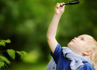 Backyard Scavenger Hunt: Fun for the Whole Family! a child sets off on a backyard scavenger hunt