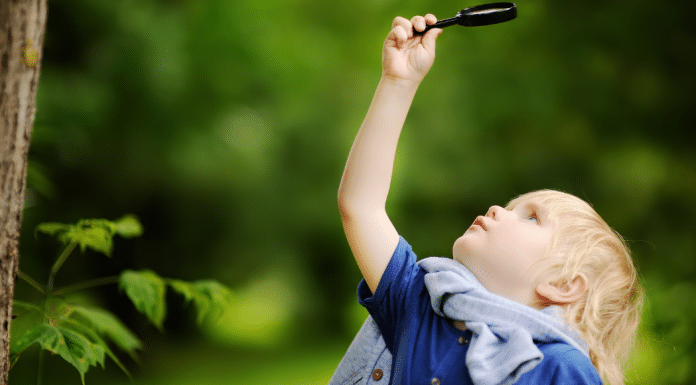 Backyard Scavenger Hunt: Fun for the Whole Family! a child sets off on a backyard scavenger hunt