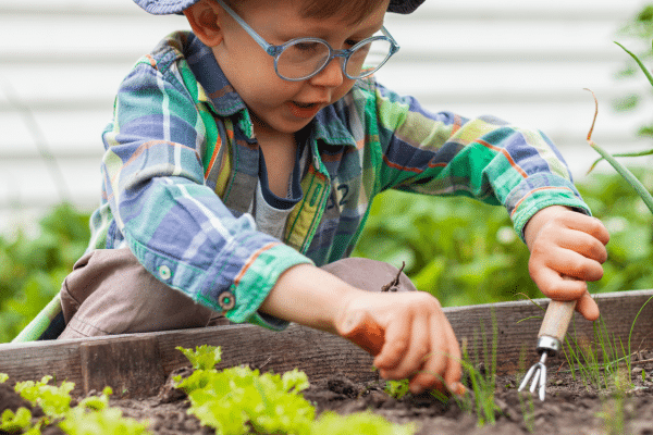 a boy pulls weeds from a small garden plot