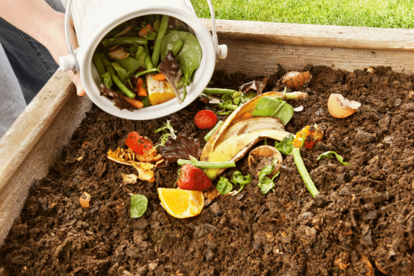 Compost is a great way to turn food scraps into nutrients for the soil. Composting is one way to make your life more sustainable and earth-friendly.