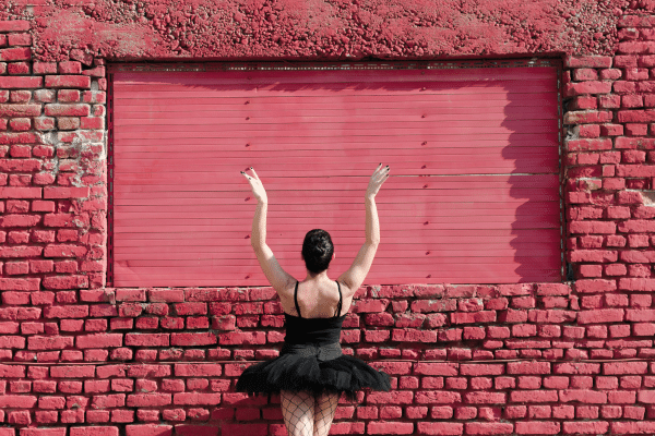 The Farm to Ballet project is spectacular and entertaining.