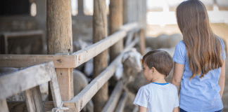 Vermont’s Nonprofits: An Awesome Source for Family Fun Children touring a local nonprofit farm