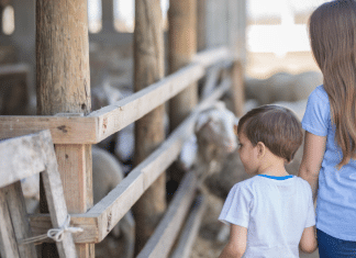 Vermont’s Nonprofits: An Awesome Source for Family Fun Children touring a local nonprofit farm