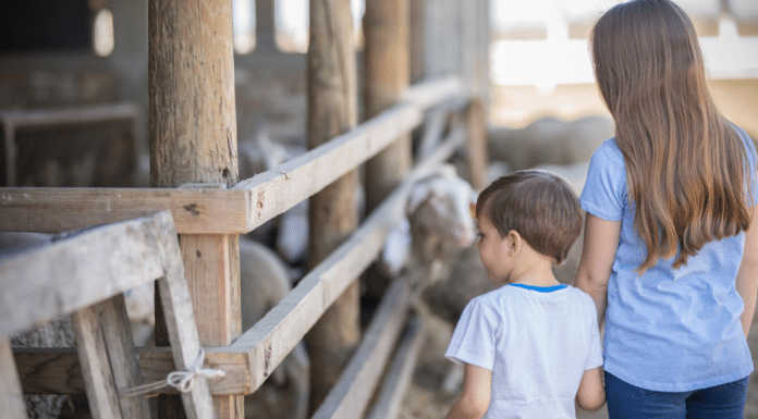 Vermont’s Nonprofits: An Awesome Source for Family Fun Children touring a local nonprofit farm