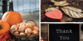 6 Ways of Teaching Children about Gratitude and a Festive Pumpkin Centerpiece Craft