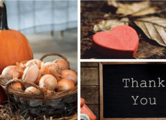 6 Ways of Teaching Children about Gratitude and a Festive Pumpkin Centerpiece Craft
