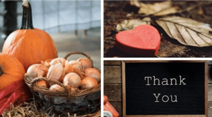 6 Ways of Teaching Children about Gratitude and a Festive Pumpkin Centerpiece Craft