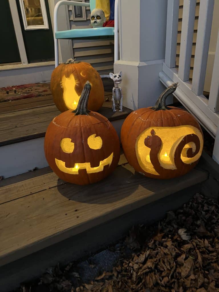 jack-o-lanterns carved for Halloween