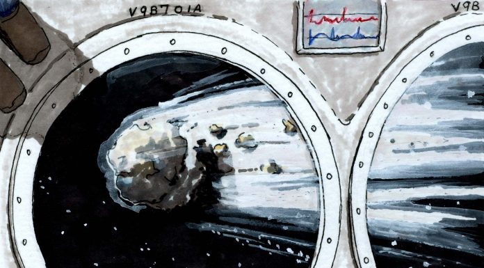 Using Art to Fundraise for Refugees and Asylum Seekers in Vermont A comet as viewed from a spacecraft