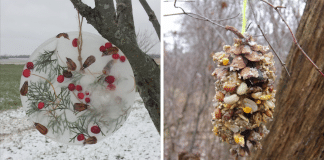 3 Kid-Friendly Nature-Focused Holiday Crafts two pictures that add nature to the holidays