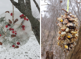 3 Kid-Friendly Nature-Focused Holiday Crafts two pictures that add nature to the holidays