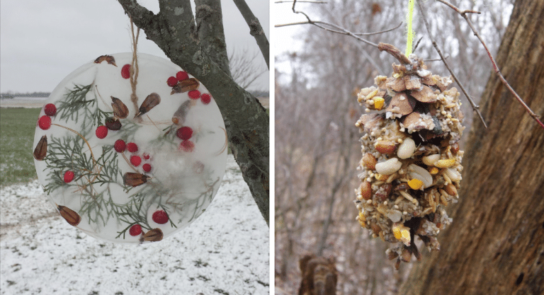 two pictures that add nature to the holidays