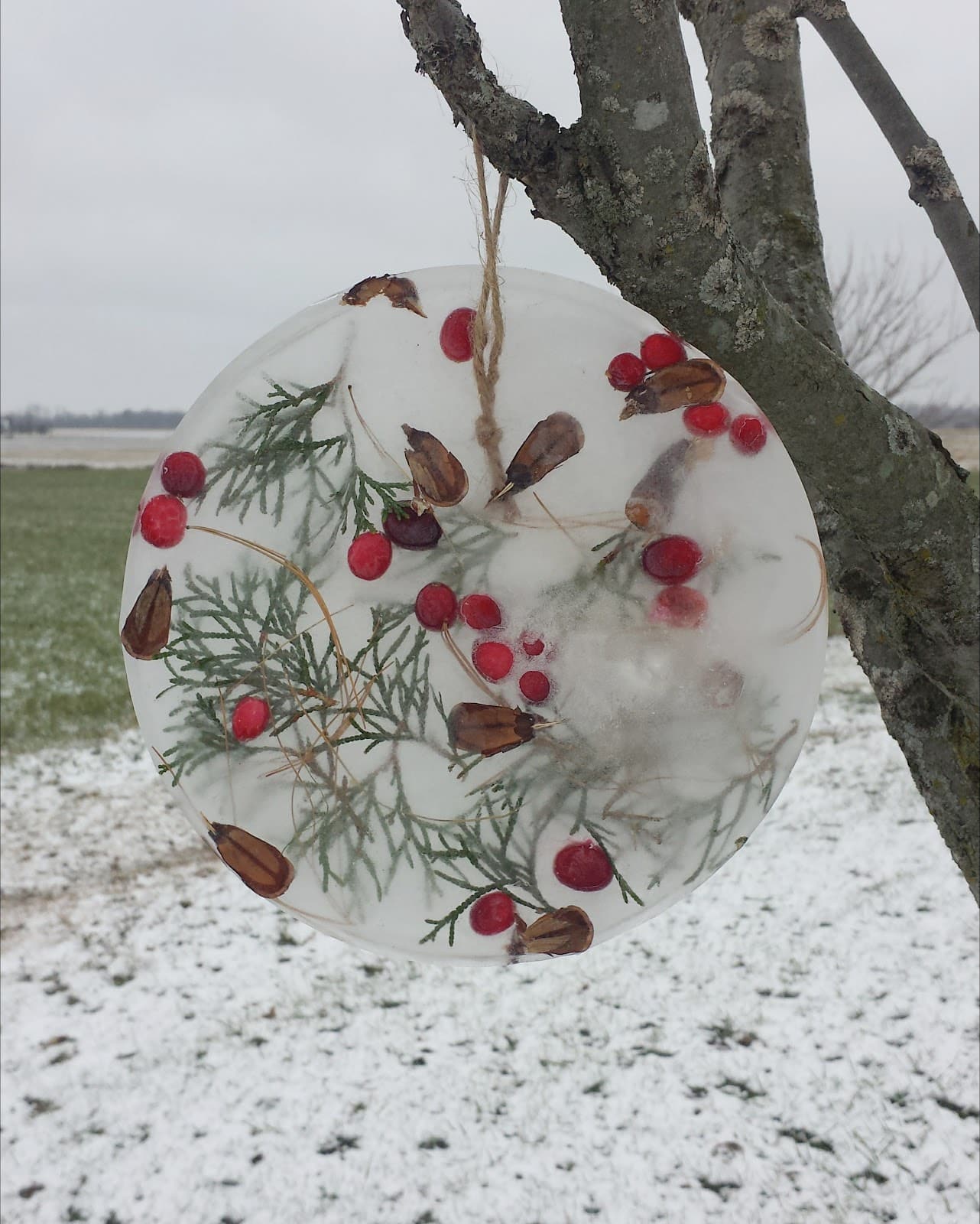Frozen ice ornament