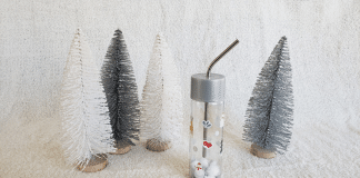 DIY No Mess Snow Globe A DIY No Mess Snow globe craft