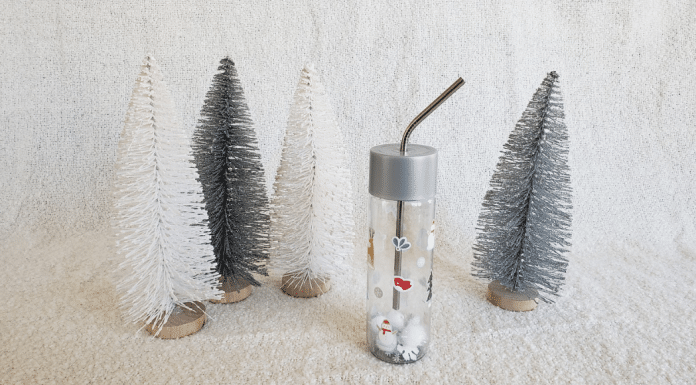 DIY No Mess Snow Globe A DIY No Mess Snow globe craft