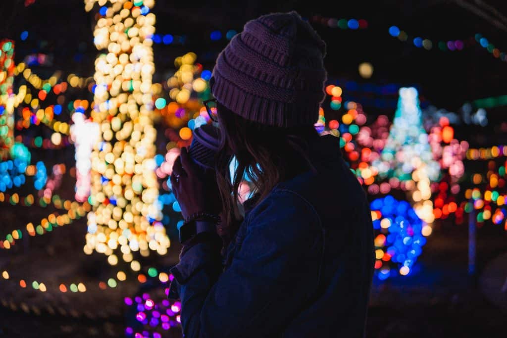 winter holiday lights