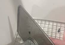 My Dirty Little Secret: My Dishwasher Filter dishwasher filter