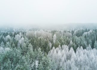 Fighting The Blues with a Winter Wellness Plan