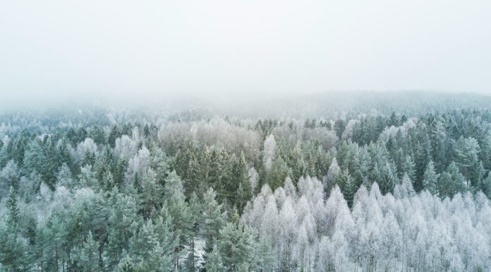 Fighting The Blues with a Winter Wellness Plan