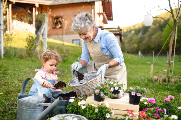 Older woman and toddler transplanting flowers together outdoors.