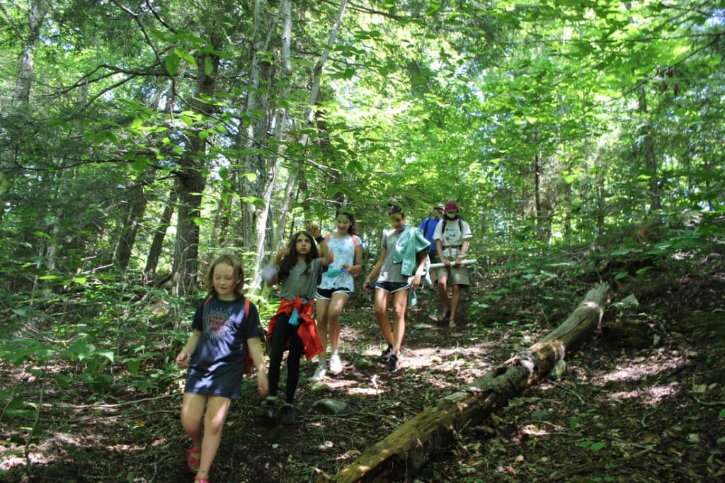 6 campers hike down a slope covered with trees. They are surrounded by greenery.