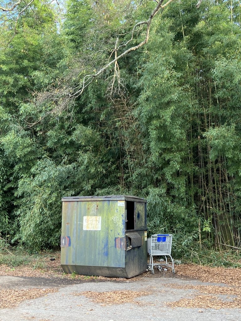 dumpster and abandoned shopping cart