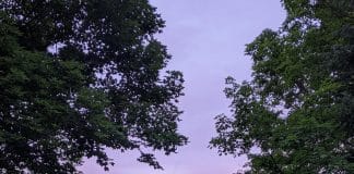 How Parents Grieve: A 5-Step Approach to Healing mountain view with purple sky and rainbow