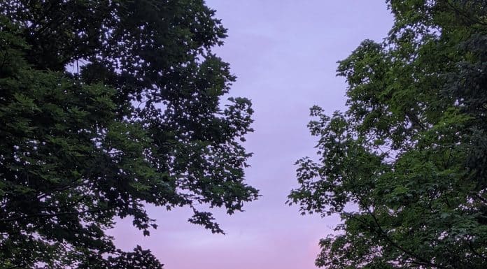 How Parents Grieve: A 5-Step Approach to Healing mountain view with purple sky and rainbow
