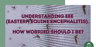 Understanding EEE (Eastern Equine Encephalitis). How Worried Should I Be? Understanding EEE (Eastern Equine Encephalitis). How Worried Should I Be?