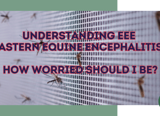 Understanding EEE (Eastern Equine Encephalitis). How Worried Should I Be? Understanding EEE (Eastern Equine Encephalitis). How Worried Should I Be?