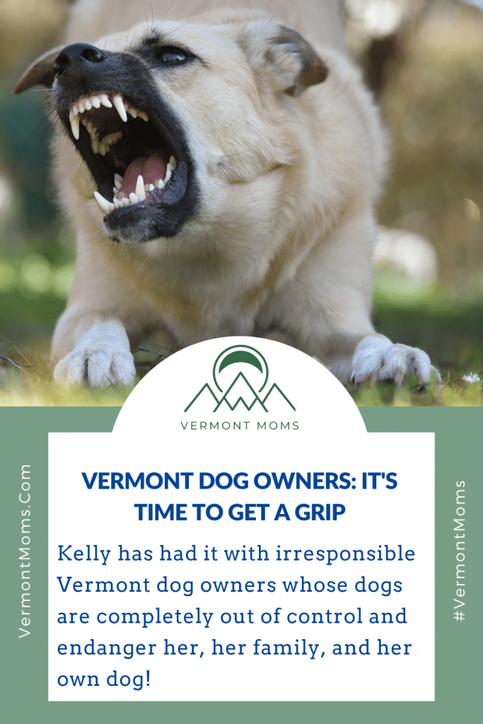 Vermont Dog Owners: It's Time to Get a Grip