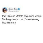 17978453492891697_vtmom