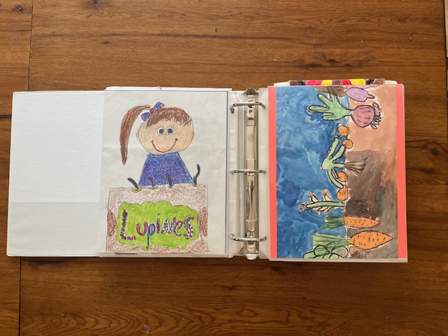 school art binder for better organization