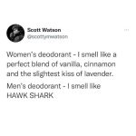 18102871651896272_vtmom